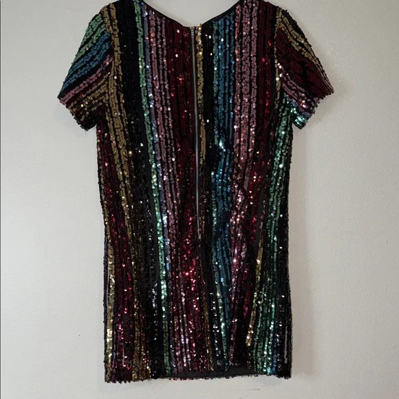 Lulu's Firework striped  Sequin V-Neck Mini Dress - Picture 6 of 9